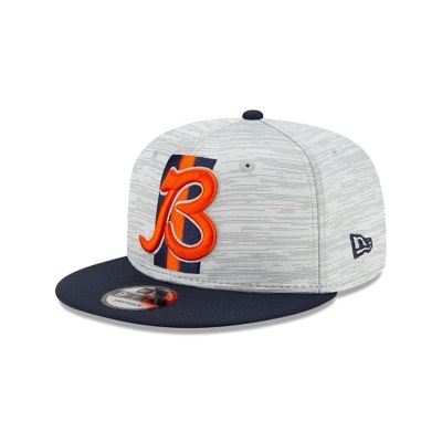 Chicago Bears Gorra | New Era Official NFL Training 9fifty Snapback Cap Mexico - Azules